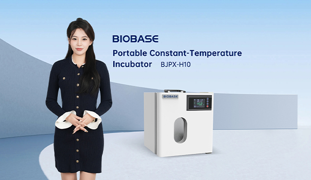 Incubadora portátil de temperatura constante BIOBASE BJPX-H10