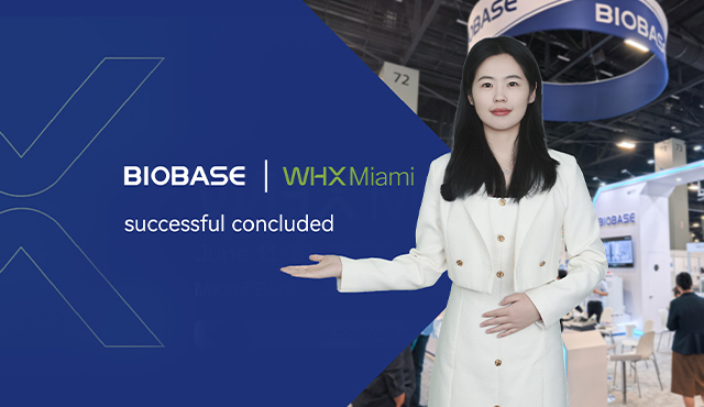 Brilhando em Miami! WHX Miami 2025 termina com sucesso!