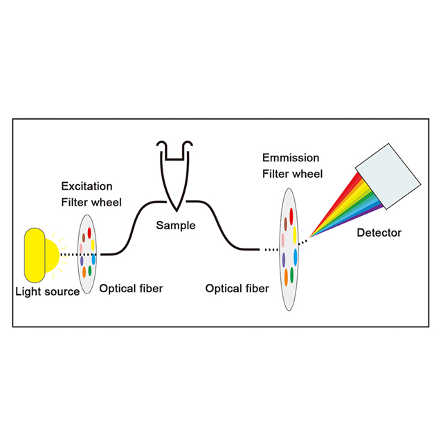 Sistema de detecção de PCR quantitativo fluorescente