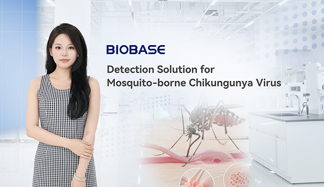 Biobase lança solução de detecção para o vírus Chikungunya transmitido por mosquitos