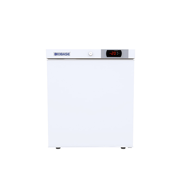-20/25 ℃ Freezer (tipo econômico)