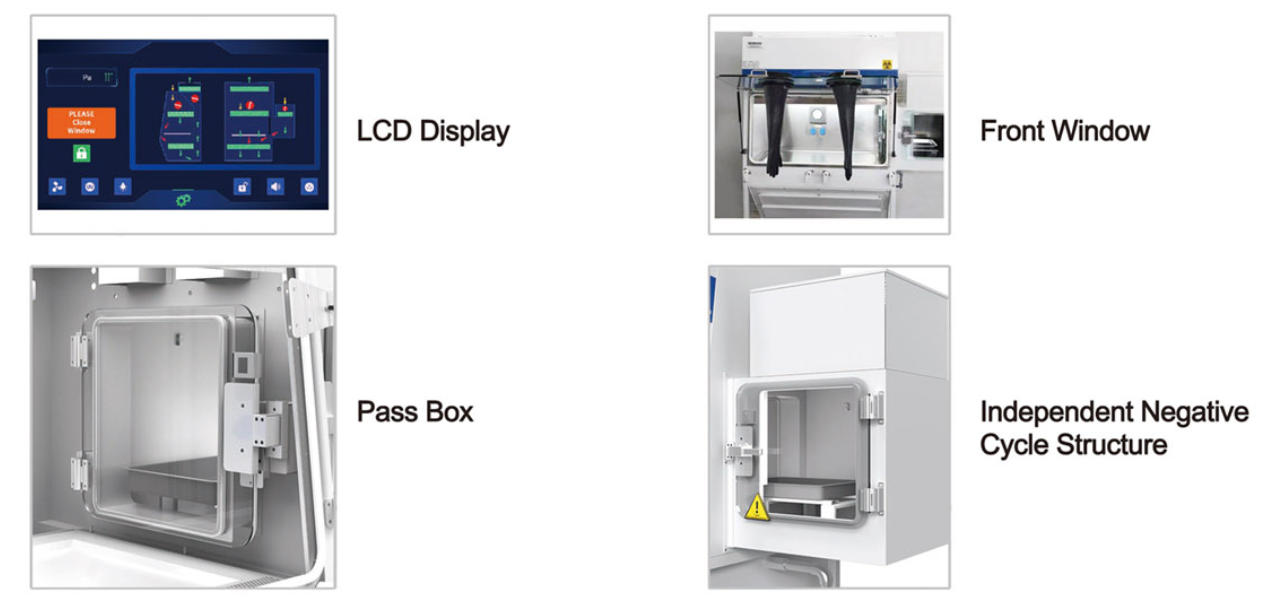 ~!phoenix_varIMG11!~