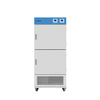 Incubadora de temperatura constante multicâmara BJPX-H150-2C BJPX-H100-4C